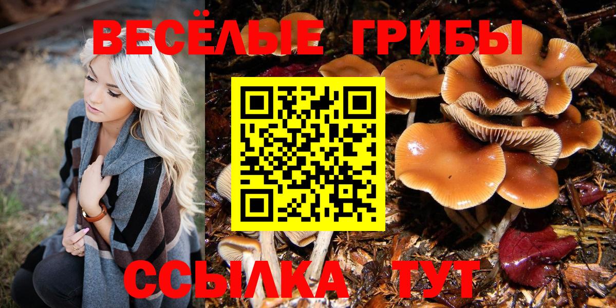 закладка  Псилоцибиновые грибы мухоморы  Псилоцибиновые грибы мухоморы  Вход с VPN  Котельники 
